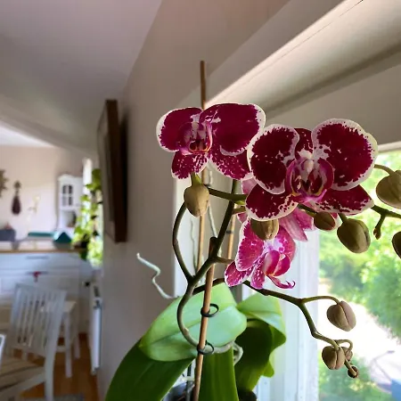 Sweet Home- Center, Sea View, Sauna, Balcony Διαμέρισμα Μάριεχαμν