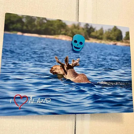 Sweet Home- Center, Sea View, Sauna, Balcony *